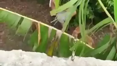 Desi XXX mms video, Horny Mallu couple was caught fucking outdoor in bushes